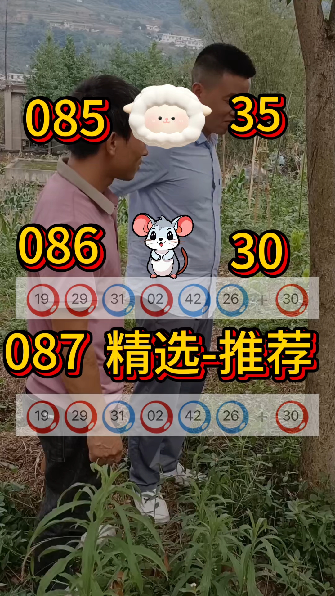 新闻中心 第29页