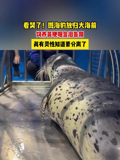 下载中心 第6页
