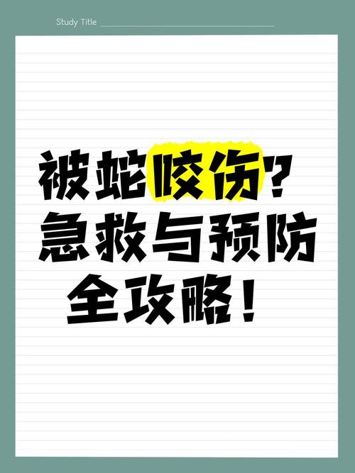 客户服务 第5页